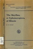 The Mayflies or Ephemeroptera of Illinois