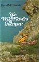 The Wild Flowers of Guernsey