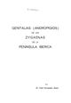 Genitalias (Andropigios) de las Zygaenas de la Peninsula Iberica