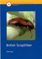 British Scraptiidae (Coleoptera) (Handbooks for the Identification of British Insects 5/18)