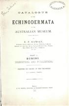 Catalogue of the Echinodermata in the Australian Museum. Part 1: Echini. Desmosticha and Petalosticha