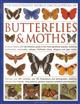 Illustrated World Encyclopedia of Butterflies and Moths: A Natural History and Identification Guide to Rare and Familiar Species