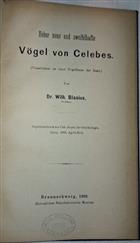 Ueber Neue und zweifelhafte Vögel von Celebes