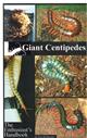 Giant Centipedes The Enthusiast's Handbook