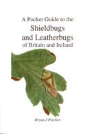 A Pocket Guide to the Shieldbugs and Leatherbugs of Britain and Ireland