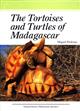The Tortoises & Turtles of Madagascar