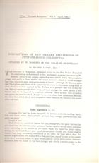 Descriptions of New Genera and Species of Phytophagous Coleoptera obtained by W. Doherty in the Malayan Archipelago/ Descriptions of New Genera and Species of Phytophagous Coleoptera from Africa and Madagascar