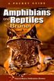 A Pocket Guide: Amphibians and Reptiles of Brunei