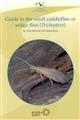 Guide to the adult caddisflies or sedge flies (Trichoptera)