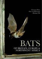 Bats of Britain, Europe and Northwest Africa