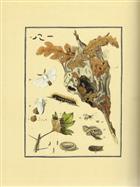 A Short History of the Brown-Tail Moth [1782]