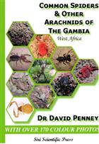 Common Spiders & other Arachnids of the Gambia, West Africa