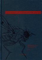 Australian Lauxaniid Flies: Revision of the Australian species of Homoneura van der Wulp, Trypetisoma Malloch and allied genera (Diptera: Lauxaniidae)