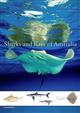 Sharks & Rays of Australia