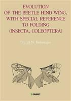 Evolution of the beetle hind wing  with special reference to folding (Insecta: Coleoptera)