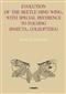 Evolution of the beetle hind wing  with special reference to folding (Insecta: Coleoptera)