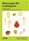 Microscopic Life in Sphagnum