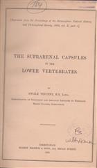 The Suprarenal Capsules in the Lower Vertebrates