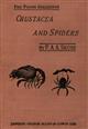 British Stalk-eyed Crustacea and Spiders with an account of their structure, classification, and habitats