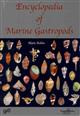 Encyclopedia of Marine Gastropods