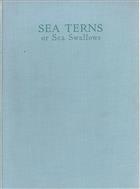 Sea Terns or Sea Swallows their habits, language, arrival and departure