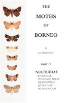 The Moths of Borneo 17: Noctuidae: Rivulinae, Phytometrinae, Herminiinae, Hypeninae and Hypenodinae