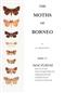 The Moths of Borneo 17: Noctuidae: Rivulinae, Phytometrinae, Herminiinae, Hypeninae and Hypenodinae