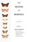 The Moths of Borneo 17: Noctuidae: Rivulinae, Phytometrinae, Herminiinae, Hypeninae and Hypenodinae