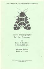 Insect Photography for the Amateur