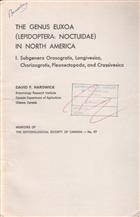 The Genus Euxoa (Lepidoptera: Noctuidae) in North America:  1.Subgenera Orosagrotis, Longivesica, Chorizagrotis, Pleonectopoda, and Crassivesica