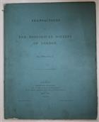An Account of the South-American Cheliferinae in the Collections in the British and Copenhagen Museums