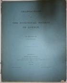 Report on the Diptera collected by the British Ornithologists' Union Expedition and the Wollaston Expedition in Dutch New Guinea