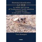 Illustrated Identification Guide to Adults and Larvae of Northeastern North American Ground Beetles (Coleoptera: Carabidae)