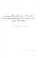 A Revision of Ninini (Hemiptera-Heteroptera, Lygaeidae) including the Description of a  New Species from Angola
