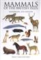 Mammals of the British Isles: Handbook
