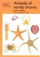 Animals of Sandy Shores (Naturalists' Handbooks 21)
