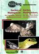 Geckos of Madagascar, Seychelles Comoros and Mascarene Islands