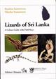 Lizards of Sri Lanka A Colour Guide with Field Keys