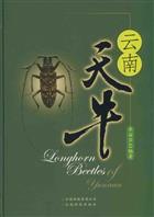 Longhorn Beetles of Yunnan