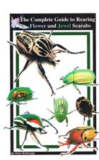 The Complete Guide to Rearing Flower and Jewel Scarabs