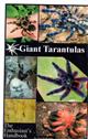 Giant Tarantulas The Enthusiast's Handbook