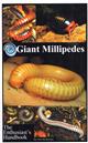 Giant Millipedes The Enthusiast's Handbook