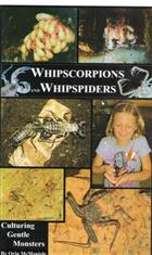 Whipscorpions and Whipspiders Culturing Gentle Monsters