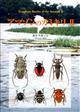 Longhorn Beetles of the Amazon II: Lamiinae