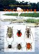 Longhorn Beetles of the Amazon II: Lamiinae