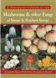 A Naturalist's Guide to the Mushrooms and other Fungi of Britain and Northern Europe