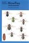 Blowflies (Naturalists' Handbooks 23)
