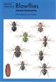 Blowflies (Naturalists' Handbooks 23)