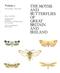 The Moths and Butterflies of Great Britain and Ireland. Volume 1: Micropterigidae - Heliozelidae