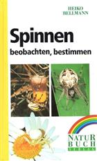 Spinnen beobachten, bestimmen